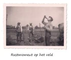 Rustmoment met trekpaarden op het veld